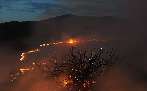 آتش‌سوزی مجدد در پارک ملی گلستان/ 50 هکتار تاکنون سوخته است