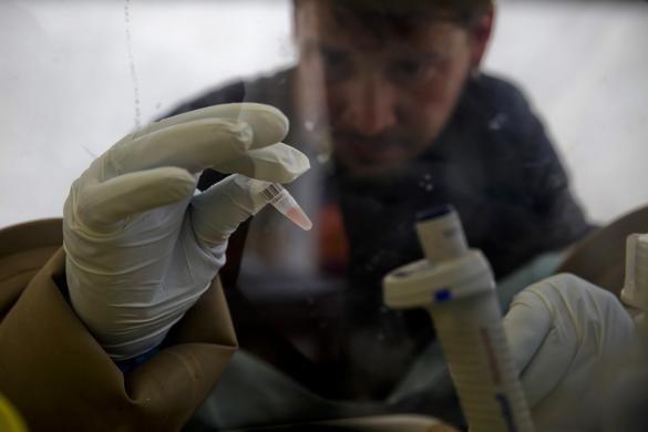 ژاپن داروی آنفولانزا را برای ابولا پیشنهاد کرد