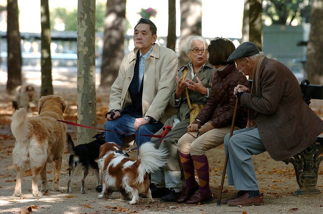 کشورهایی با بیشترین میانگین سنی/آیا از سالمندان ایران می توان توقع کارآمدی داشت؟