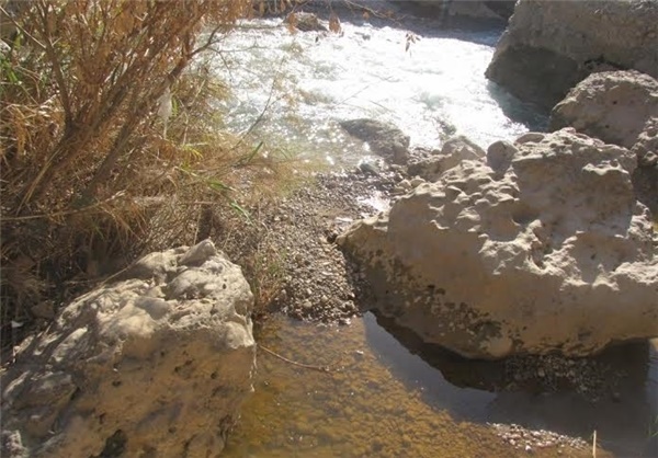 نشت گازوییل در رودخانه زال‌/آبزیان تلف شدند 