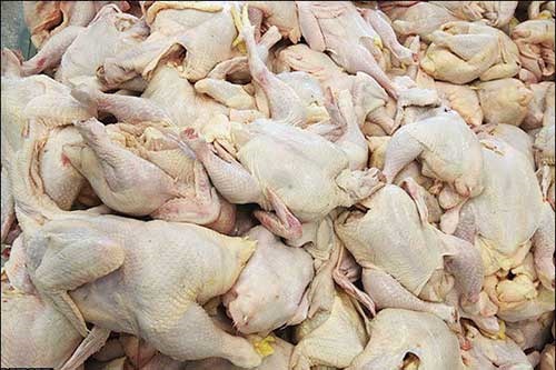 آلودگی گوشت مرغ به سرب کذب است/ در صورت اثبات، بیماران غرامت می‌گیرند