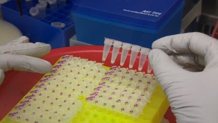 هشدار محققان انستیتو پاستور فرانسه: ویروس ابولا جهش یافته است