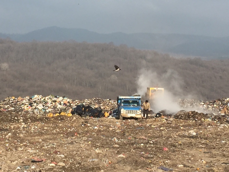 سازمان محیط زیست پیگیر توقف دفن زباله در جنگل های شمال/ متصدی: زباله، سرمایه ای برای کشور است
