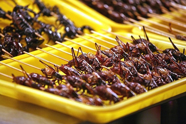 بیشتر بودن ازرش غذایی حشرات از انواع مختلف گوشت/نتایج یک تحقیق جدید