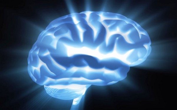 بازسازی دیجیتالی مغز/فهم دانشمندان از عملکرد مغز بیشتر می‌شود