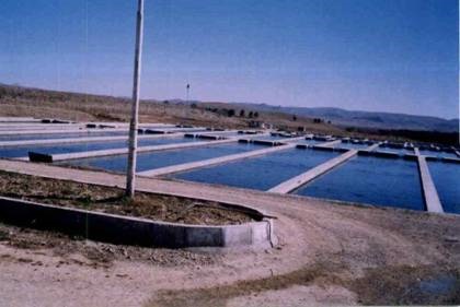 خوزستان پرچمدار آبزیپروری نوین در کشور است خوزستان پرچمدار آبزیپروری نوین در کشور است