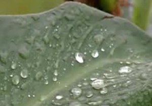بارندگی در تهران
