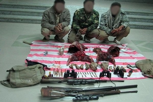 ۱۱۹ شکارچی متخلف در خراسان جنوبی دستگیر شدند