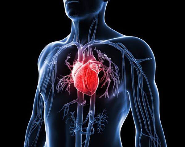 اثر شگفت‌انگیز آب چغندر در افزایش قدرت عضلانی بیماران قلبی 