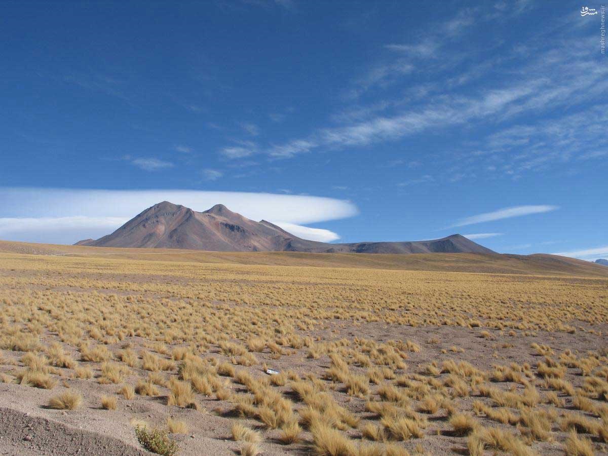 Самый сухой климат в мире. Чили Атакама. Южная Америка пустыня Атакама. Чилийская пустыня Атакама. Пустыни и полупустыни Южной Америки.