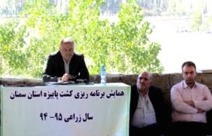 برنامه تولید 117 هزار تن گندم در استان سمنان برنامه تولید 117 هزار تن گندم در استان سمنان