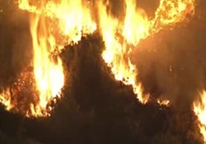 آتش‌سوزی 35 هکتار از جنگل‌های کالیفرنیا