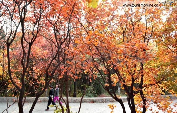 صحنه های دیدنی پاییز در پارک "کیان فوشان" چین 
