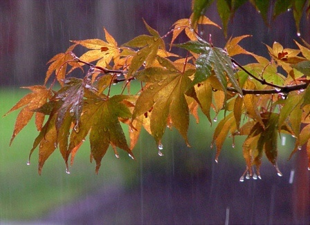 از امروز تا پنج شنبه جنوب ایران بارانی است
