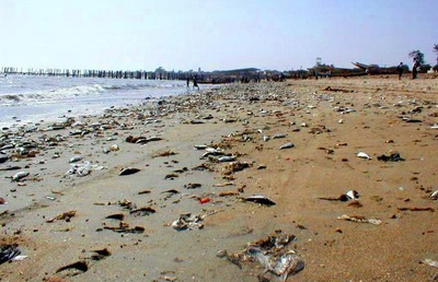 سهم ایران در آلودگی دریای خزر/ ایران قربانی آلودگی های نفتی کشورهای همسایه