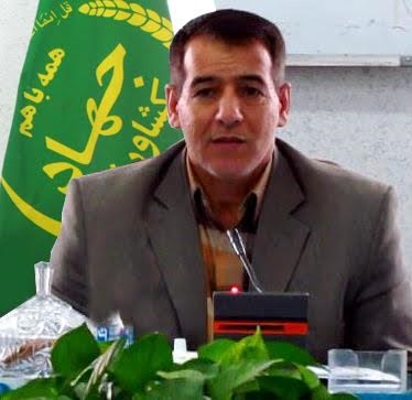 اولین تفاهم نامه صادرات پسته در استان با نظارت سازمان منعقد شد اولین تفاهم نامه صادرات پسته در استان با نظارت سازمان منعقد شد