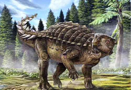 معمای فسیل دایناسور کشف شده در چین