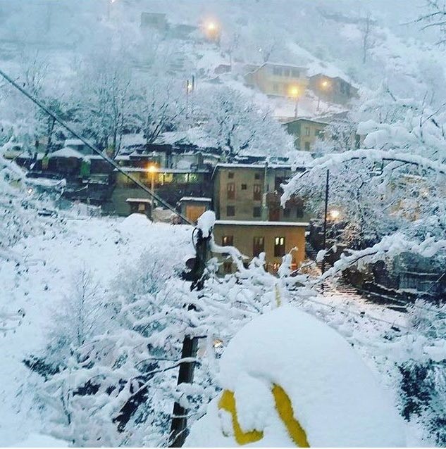 تصاویری از برف امروز مشهد الرضا(ع)