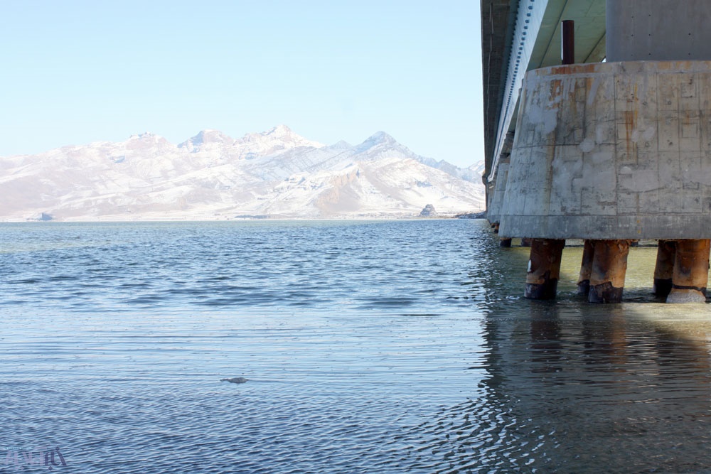 تصاویری جدید از دریاچه ارومیه / بارش ها و تدبیر دولت جواب داد 