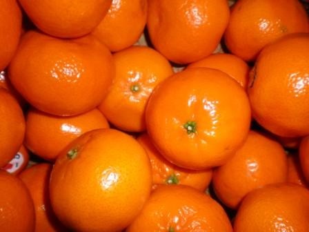 اعتراض میوه‌ای کشاورزان اسپانیایی علیه روسیه