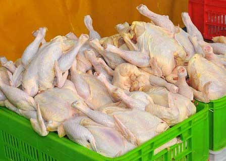 کاهش تولید، قیمت مرغ را افزایش داد/ کاهش قیمت‌ها با عرضه حجم بالای مرغ منجمد