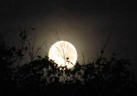 مشاهده هاله ای شگفت انگیز به دور ماه آسمان انگلیس