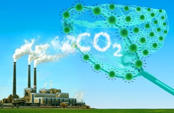 افزایش گاز co2 متوقف شد/ نقش ایران و دیگر کشورها در این کاهش چه قدر است؟