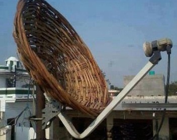 طنز/ گه گاه لازم است که یابو و خر شوی!