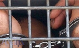  سارق حرفه ای منزل در معمولان پلدختر دستگیر شد  