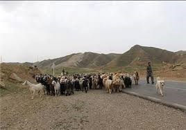 عشایر بهترین نمونه برای اجرای اقتصاد مقاومتی هستند عشایر بهترین نمونه برای اجرای اقتصاد مقاومتی هستند