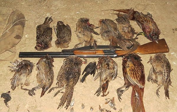 ممنوعیت تولید سلاحهای شکاری/ لزوم ابطال کارت همیاری محیط ‌زیست برخی مسئولان 