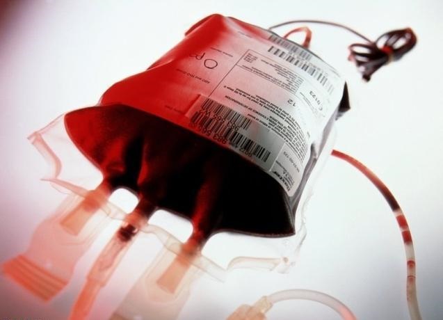 مدیرکل انتقال خون البرز: ۵۲ هزار اهدای خون در البرز انجام شد 