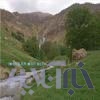 زز و ماهرو الیگودرز، پر پراکنش‎ترین منطقه روستایی لرستان