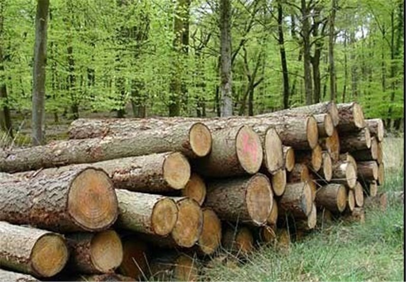 قاچاق چوب، موش صحرایی و ملخ‌کوهان‌دار چالشهای منابع طبیعی نطنز