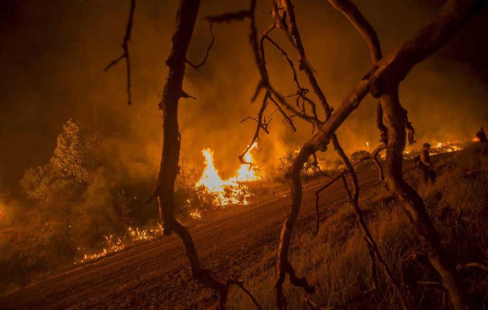 آتش دوباره به جان جنگل‌ها افتاد، این‌بار نوشهر و اردبیل