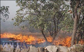 آتش سوزی در باغ انجیر روستای سرنجه زیودار پلدختر/ روستا در خاموشی فرو رفت 