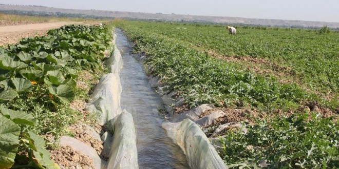 رهاسازی آب بالادست برای کشت تابستانه خوزستان