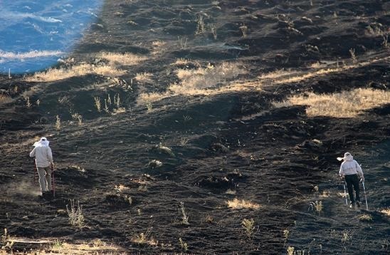 شعله های آتش، طبیعت سلطان یعقوب نقده را نابود کرد