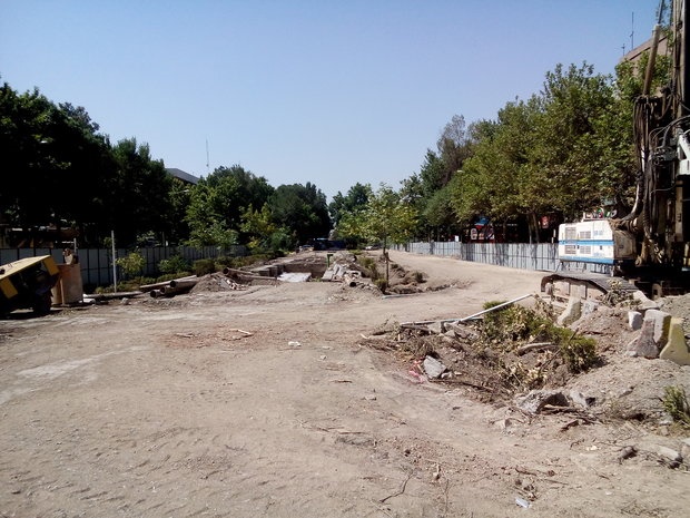 درختان ۱۵۰ ساله چهار باغ، قربانی متروی اصفهان/مسئولان:اطلاعی از قطع درختان نداریم