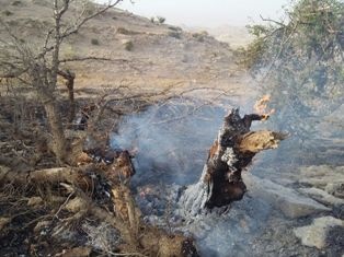 آتش‌سوزی ارتفاعات دنه زرین آباد دهلران مهار شد