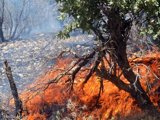 ۳۵ هکتار از مراتع و باغات شهرستان دالاهو در آتش سوخت