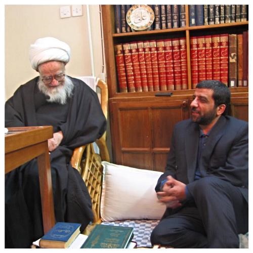 روایت ضرغامی از حجاب و زنانی که می‌خواستند عبای آیت‌الله صافی گلپایگانی را ببوسند