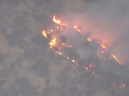 گستره آتش سوزی جنگل های شهرستان سیروان رو به افزایش است