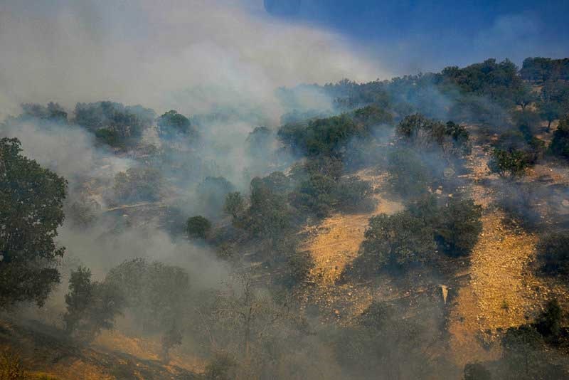 آتش سوزی این بار جنگل های مهاباد را فراگرفت