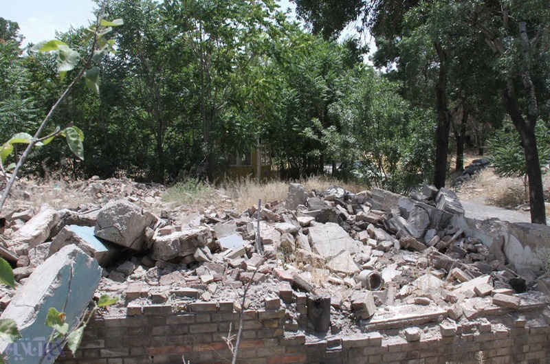 تخریب عمدی فضای سبز توسط یک دستگاه دولتی در تبریز