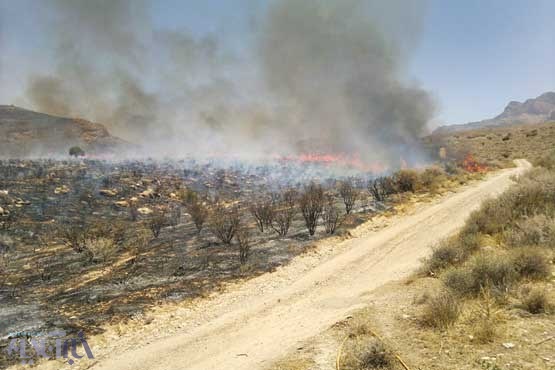25هکتار از جنگل های بهشت کوه پلدختر در آتش سوخت