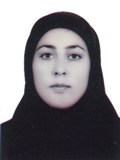 دفاع جانانه از حقوق زنان در سریال پایتخت دفاع جانانه از حقوق زنان در سریال پایتخت