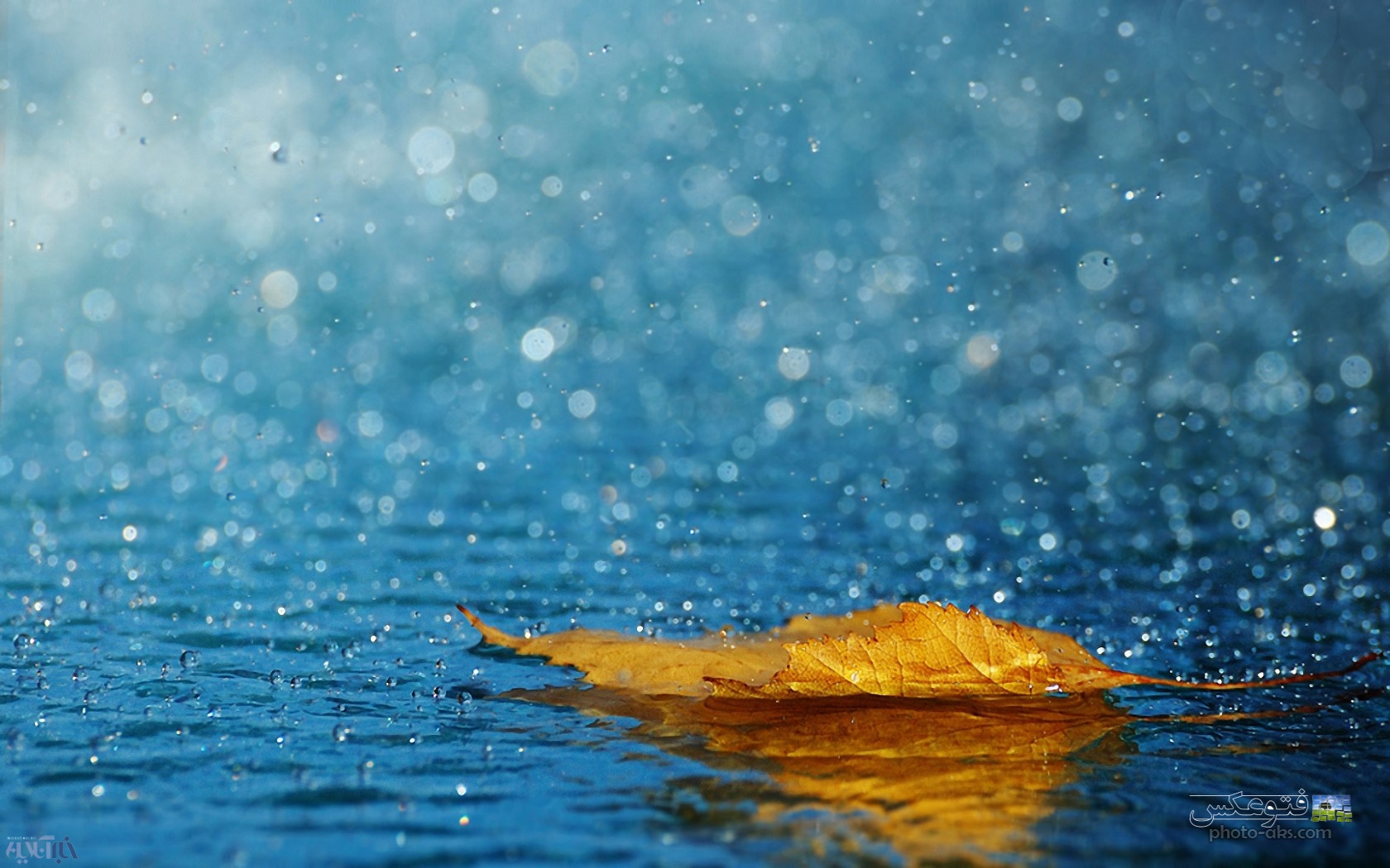 متوسط بارش استان لرستان 478 میلیمتر گزارش شد 