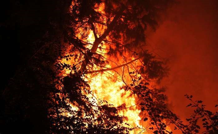 آتش به دامن ارتفاعات «پرآو» افتاد / گسترش دامنه آتش‌سوزی با وزش باد