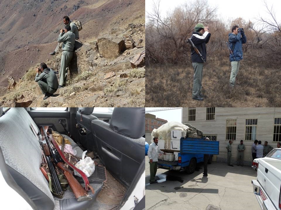 دستگیری 16 متخلف شکار و صید در5 ماهه سال جاری در شهرستان خوی دستگیری 16 متخلف شکار و صید در5 ماهه سال جاری در شهرستان خوی